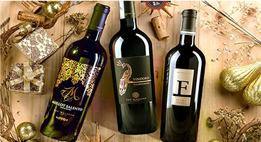 banner home ngang t6