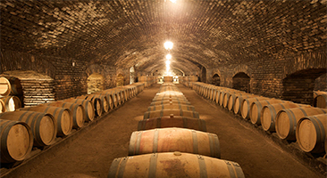 vang chile banner home ngang t6